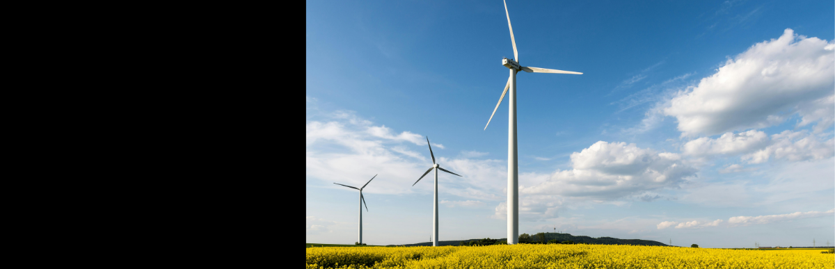 Sustainability